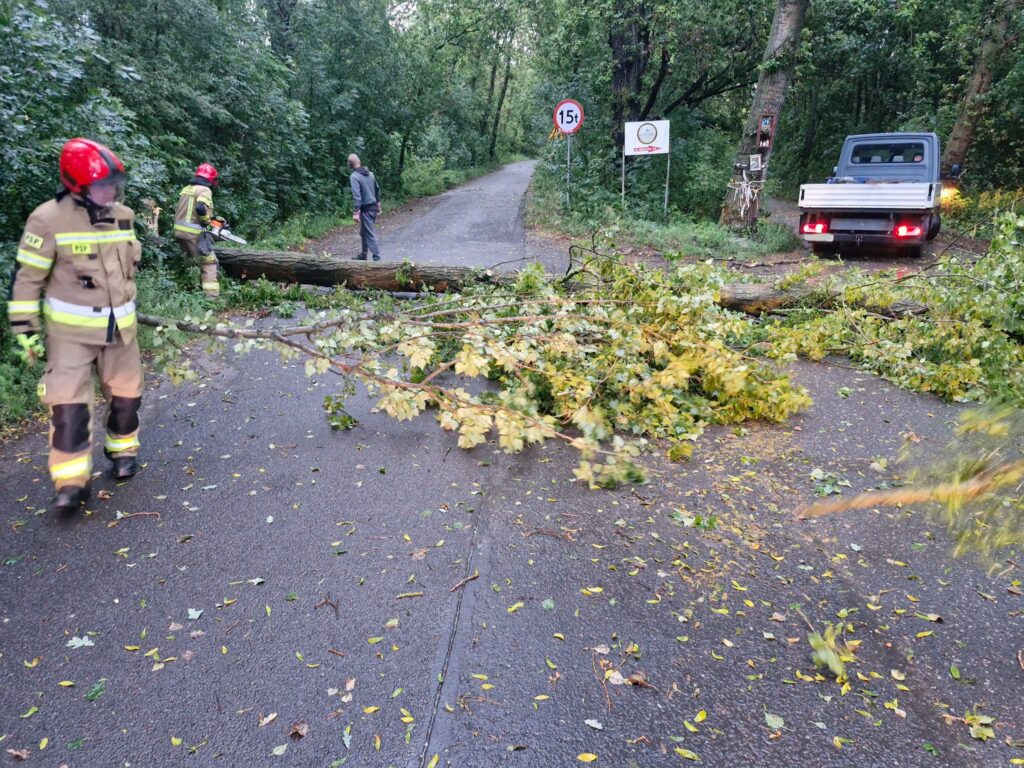 Nawałnica nad powiatem konińskim. Drzewo runęło na jadący samochód